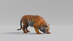 3D Rigged And Animated Jaguar High Quality PBR 3D Model model