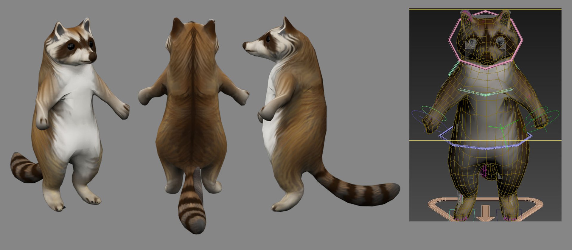 raccoon 3D model https://p.turbosquid.com/ts-thumb/2c/KgAoRW/EyjpOsPH/raccoon/jpg/1571470991/1920x1080/fit_q87/303106c4ee78cbe53d6cfeef7537404c9538be84/raccoon.jpg