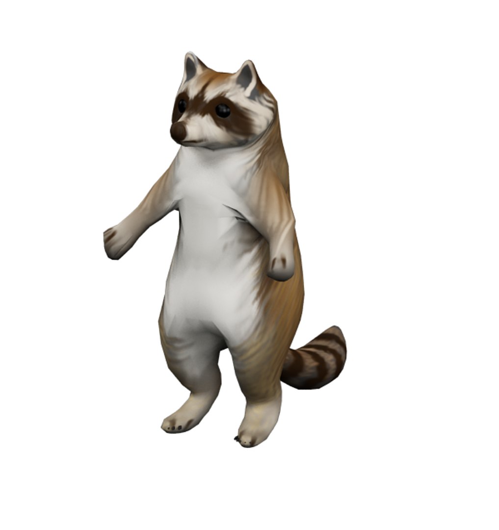 raccoon 3D model https://p.turbosquid.com/ts-thumb/2c/KgAoRW/yLFYbV7U/raccoon2/png/1571471017/1920x1080/fit_q87/1451a08b9ad37a5570ca81fd5b244b917342a8e5/raccoon2.jpg