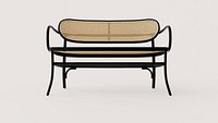 Modern Bentwood Cane Loveseat with Woven Backrest