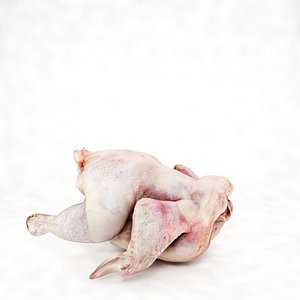 3ds max raw chicken