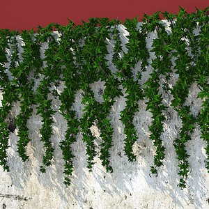3d model wall hanging plant