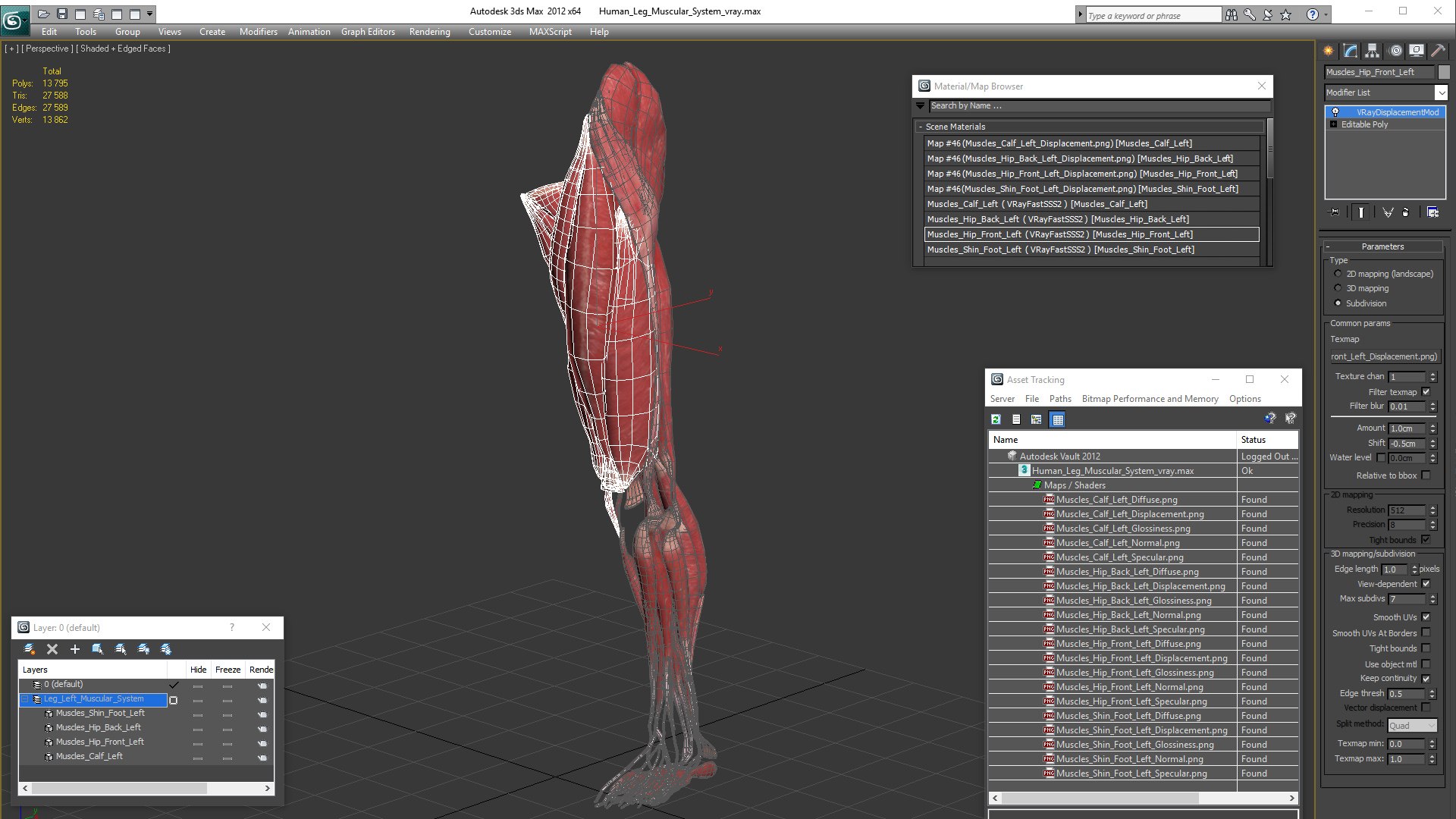 3D human leg muscular https://p.turbosquid.com/ts-thumb/2c/ZRQeoD/FH5S4MMH/humanlegmuscularsystemc4dmodel020/jpg/1570748091/1920x1080/fit_q87/bc59dbbc8f9cb6b2adac2922ba86aee6cd2a89d4/humanlegmuscularsystemc4dmodel020.jpg