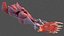 Human Leg Muscular System