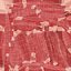 Human Leg Muscular System