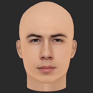 3D Low Poly Nick Jonas Head