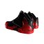Lebron James 11 Sneakers