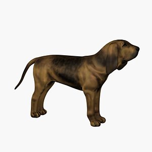 3d model hound dog