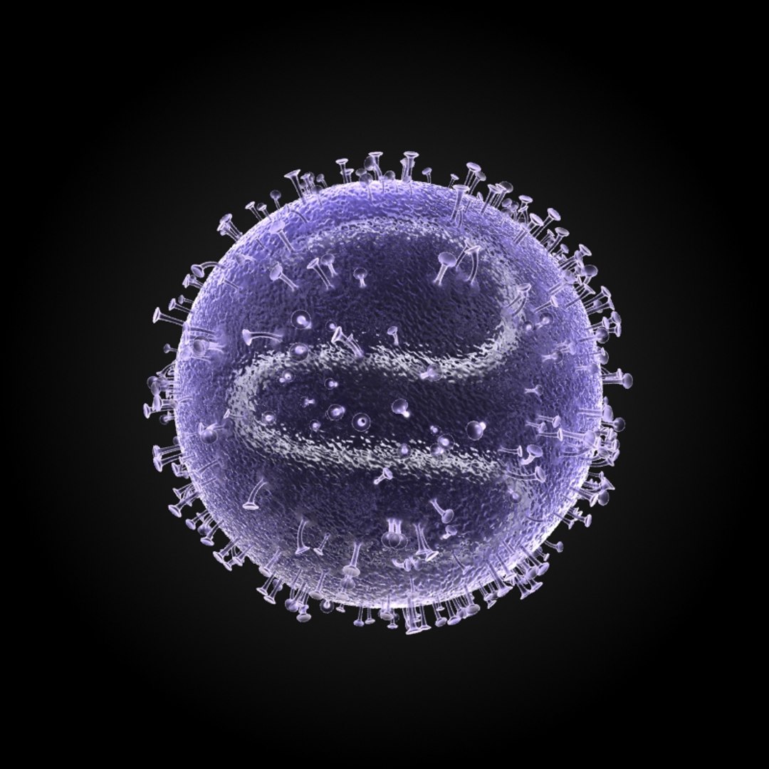 3d Model Of Microbes Micro Organisms