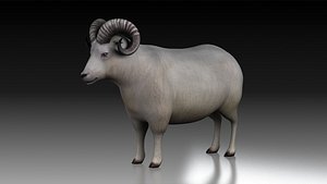 sheep ram ewe lamp wool fur farm livestock domesticated 3D model