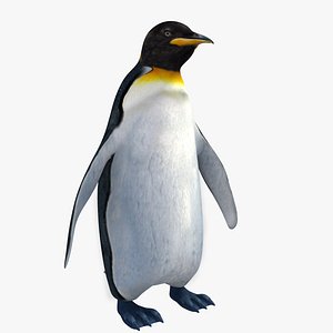 Penguin