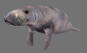 Manatee Rigged