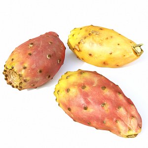 Prickly Pear set