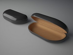 case sunglasses 3d model