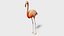 Flamingo OBJ 3D