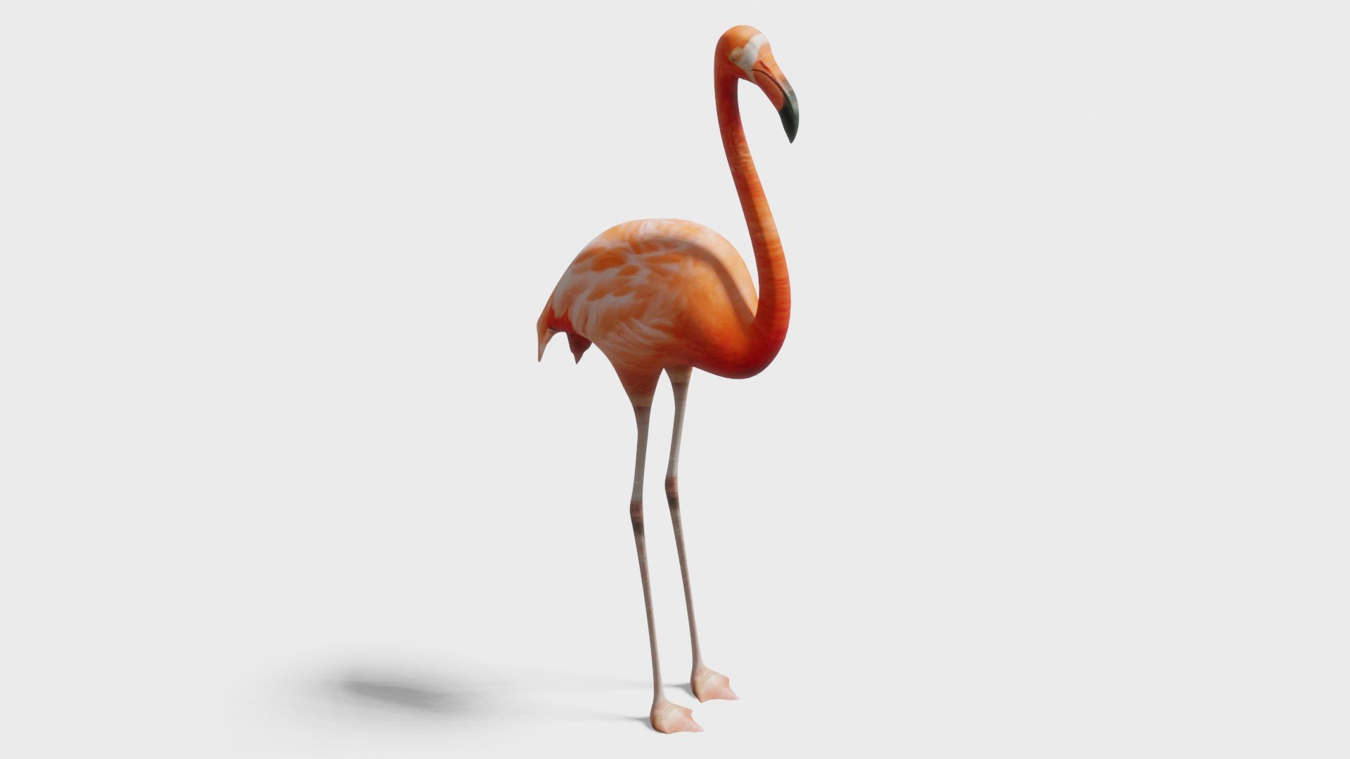 Flamingo OBJ 3D https://p.turbosquid.com/ts-thumb/2d/V7Hyzs/OW/1/jpg/1704795758/1920x1080/fit_q87/338295a5026bafbec5c8b6d055420aadcb15f7ca/1.jpg