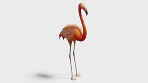 Flamingo OBJ 3D