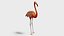 Flamingo OBJ 3D