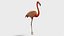 Flamingo OBJ 3D
