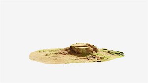 Oak Tree Stump Pbr Scan 01