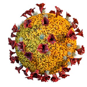 coronavirus