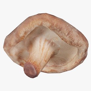 Champignon 2 Remastered model