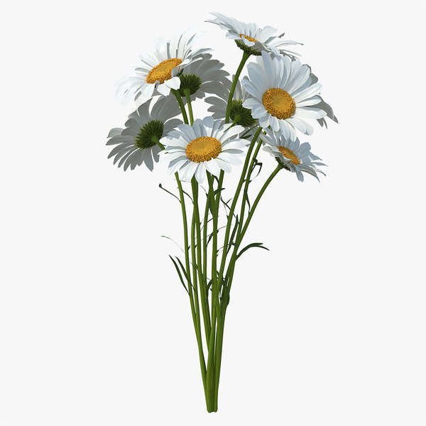 bouquetofchamomileflowers3dmodel000.jpg