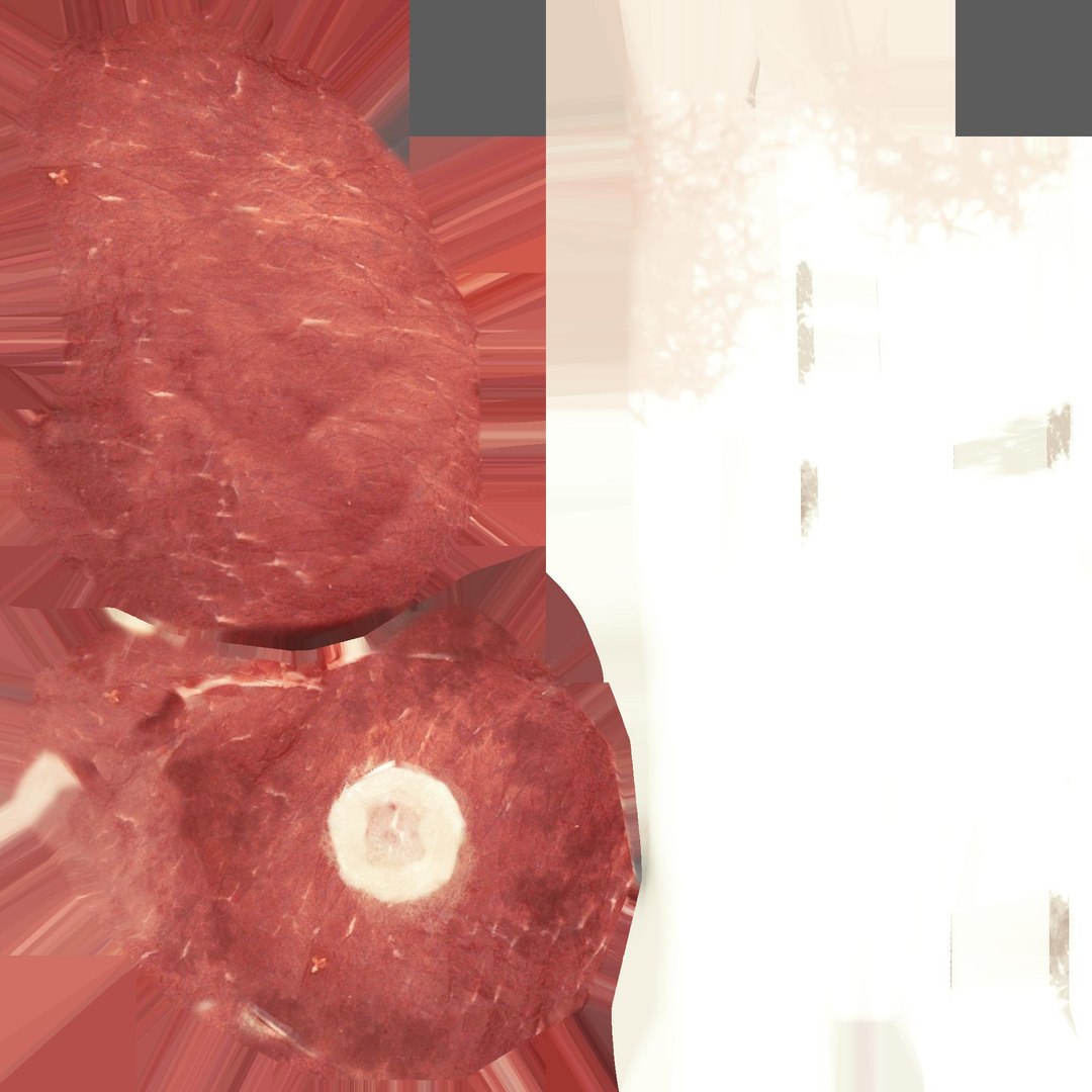 3d Steak Rigged