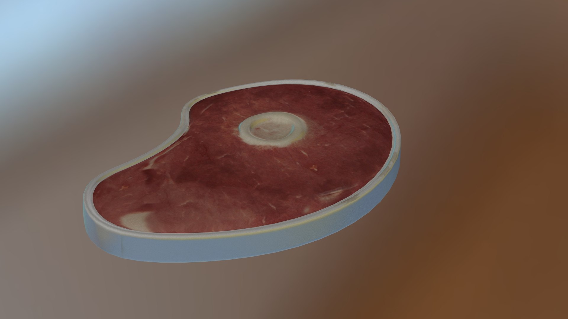 3d Steak Rigged