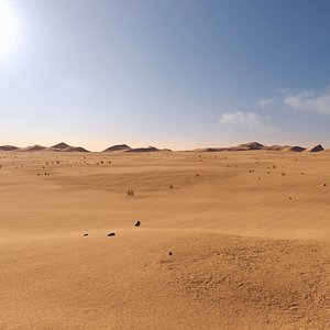 3D Desert Landscape model