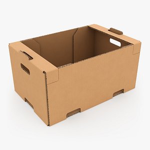 3D model Fruit Cardboard Box v2