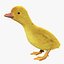 Duckling