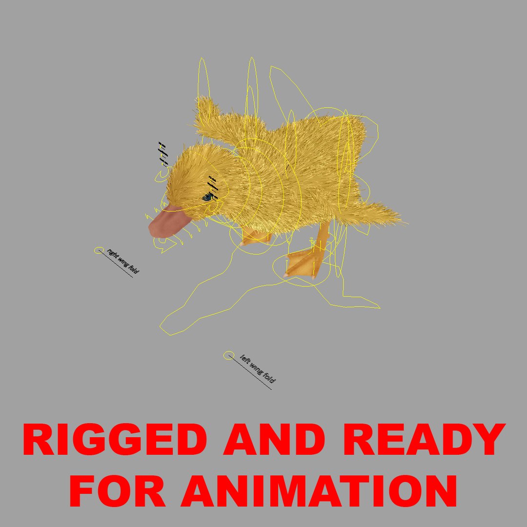 maya duckling animation fur https://p.turbosquid.com/ts-thumb/2e/Perhg9/1KD4WY59/rigged/jpg/1419909880/1920x1080/fit_q87/879305e6fdbfc27f8d7a5dbd748d52a765c98c3b/rigged.jpg