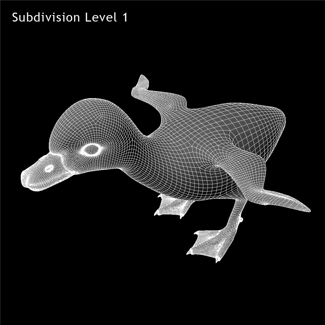 maya duckling animation fur https://p.turbosquid.com/ts-thumb/2e/Perhg9/EjxCoRzQ/w02/jpg/1419910559/1920x1080/fit_q87/1475f41d812b838a669ff78c95fe0351446a6bfa/w02.jpg