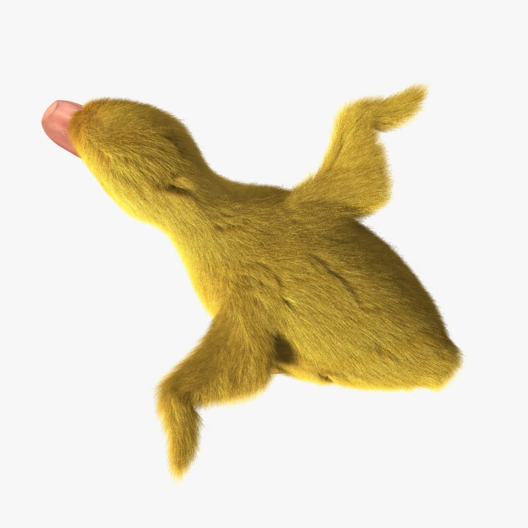 maya duckling animation fur https://p.turbosquid.com/ts-thumb/2e/Perhg9/knrYQoep/r08/jpg/1419939965/1920x1080/fit_q87/4ca221bfca5873b16ea6f5087802a8f8a4cebf9b/r08.jpg