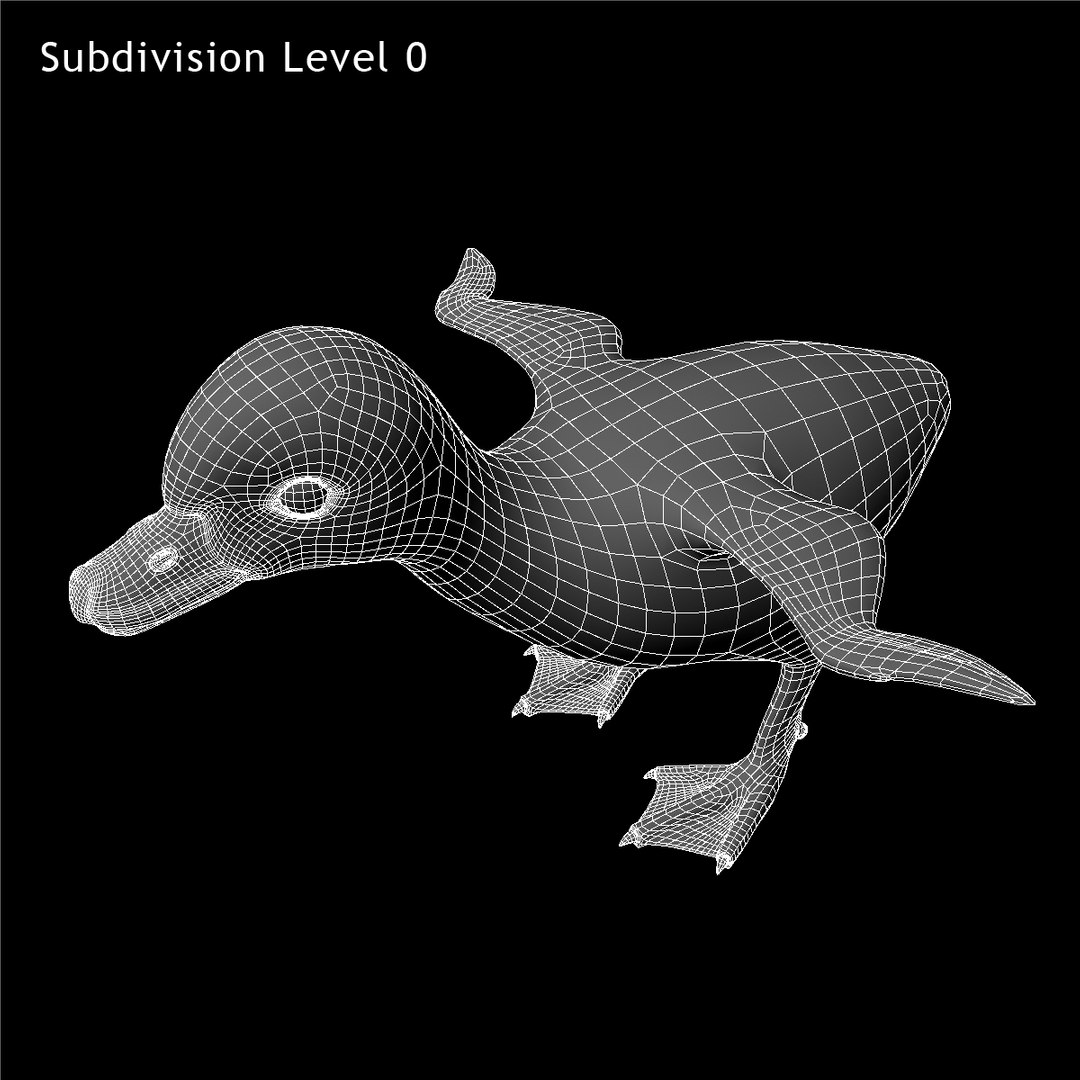 maya duckling animation fur https://p.turbosquid.com/ts-thumb/2e/Perhg9/wLDulVWy/w01/jpg/1419910559/1920x1080/fit_q87/de5ce2d04685eb21a637cc4a4ca3c28f2057747f/w01.jpg