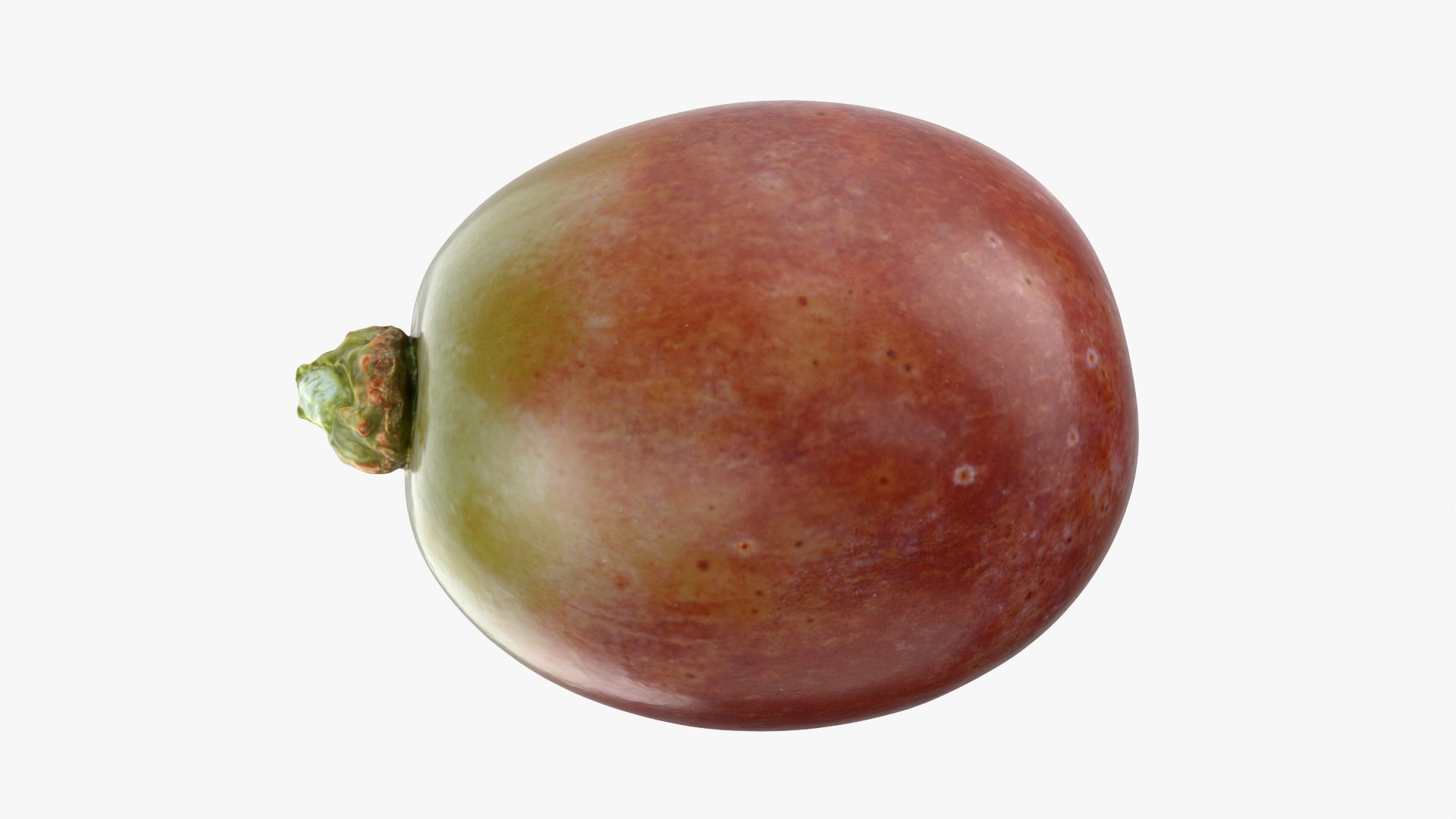 Berry Collection 2 3D https://p.turbosquid.com/ts-thumb/2e/QZLDlB/5j/grape03_0002/png/1763380375/1920x1080/fit_q87/43f3eaab971e2fbe91a6171082e3729cd71ad451/grape03_0002.jpg