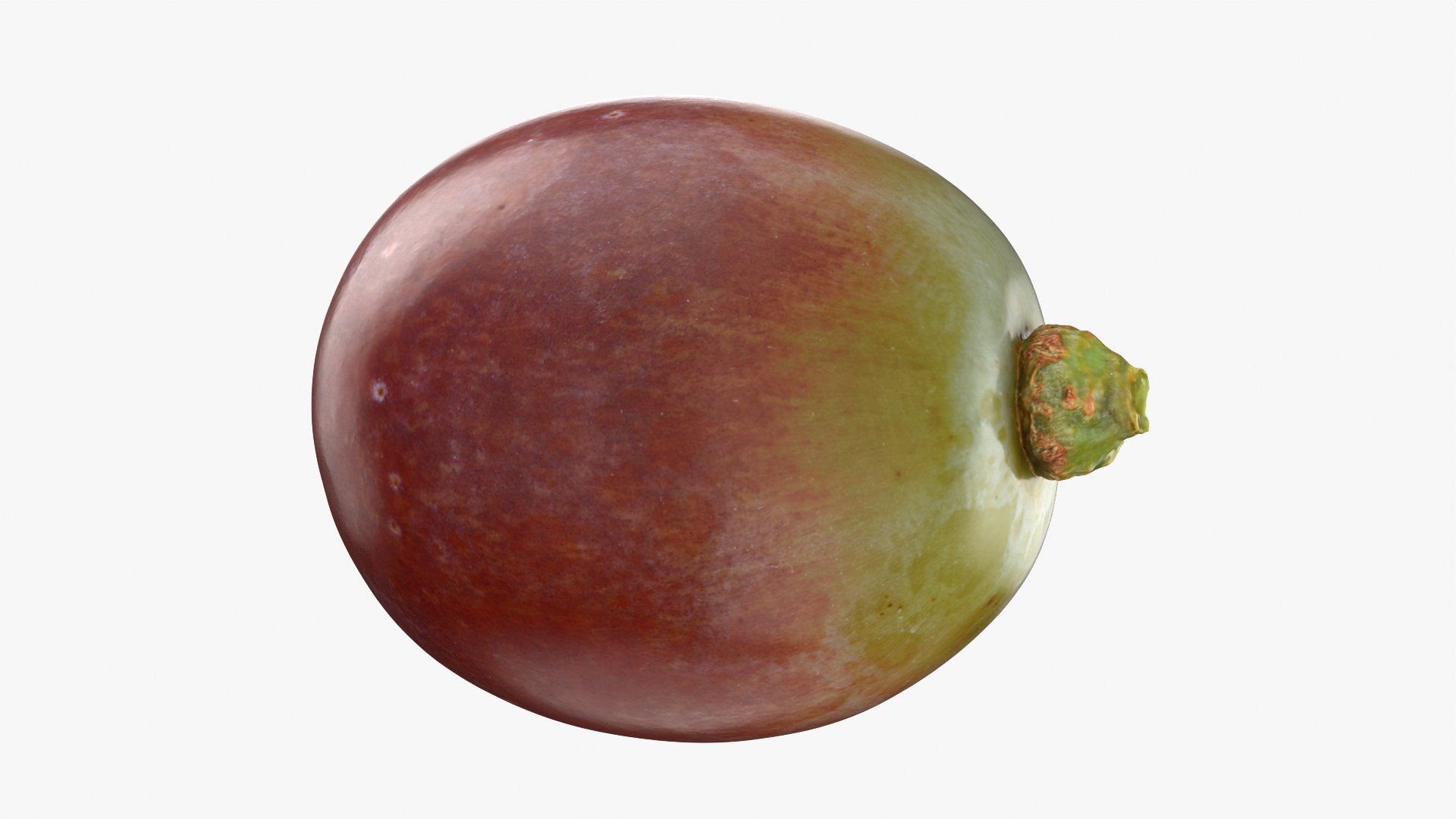 Berry Collection 2 3D https://p.turbosquid.com/ts-thumb/2e/QZLDlB/D6/grape03_0001/png/1763380375/1920x1080/fit_q87/746706fa9c25686852abc7fd5bca39e11ccf5cf7/grape03_0001.jpg