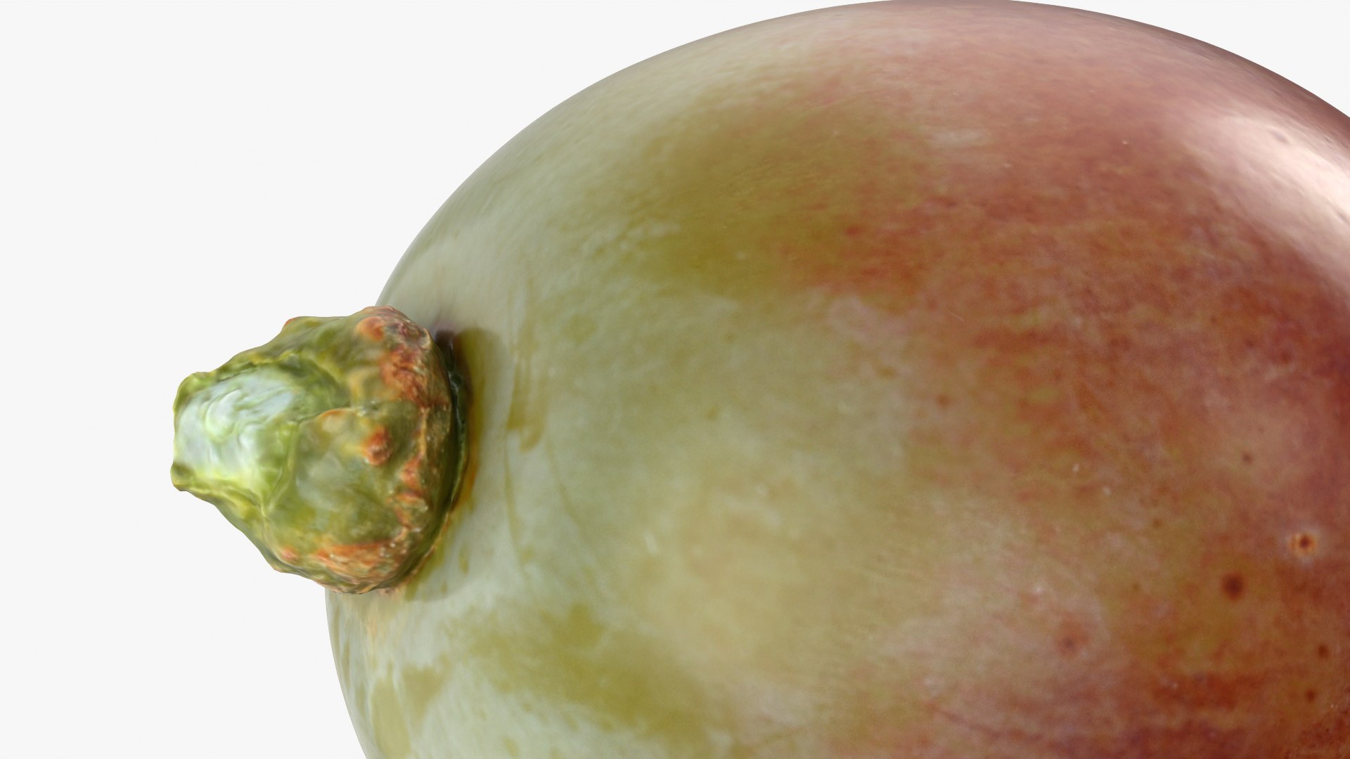 Berry Collection 2 3D https://p.turbosquid.com/ts-thumb/2e/QZLDlB/cw/grape03_0012/png/1763380377/1920x1080/fit_q87/4cadaddc0489b8ff82f21ff738e9ecd02410cd34/grape03_0012.jpg