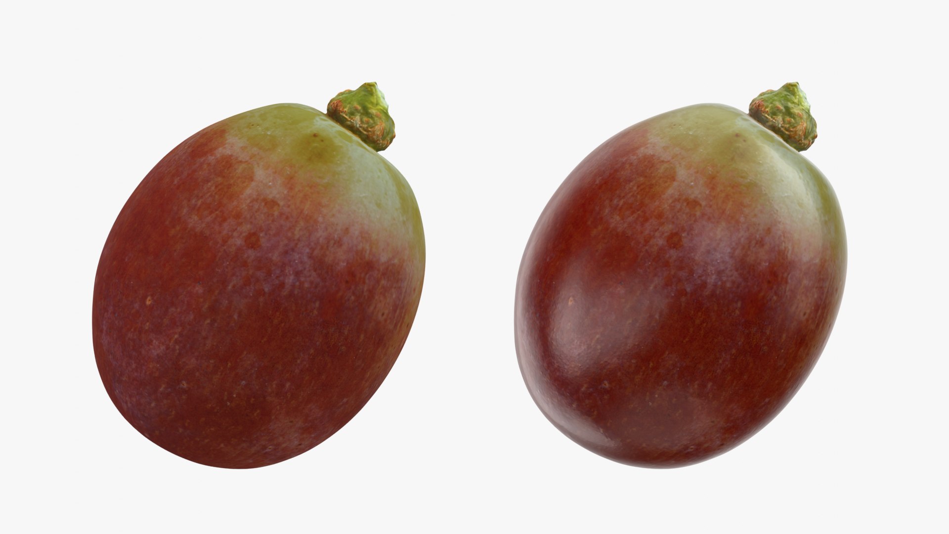 Berry Collection 2 3D https://p.turbosquid.com/ts-thumb/2e/QZLDlB/s2/grape03_0001b/png/1763380374/1920x1080/fit_q87/072516d8f377c378f209811433fc1a737428d5d2/grape03_0001b.jpg