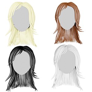 Hairs wig 3D model