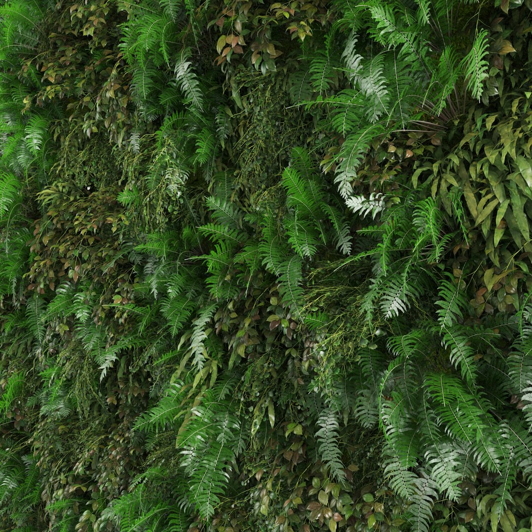 vertical green wall 3D model https://p.turbosquid.com/ts-thumb/2e/UxFBF9/Sd8Kn0NL/greenwall_good1a/jpg/1526890436/1920x1080/fit_q87/59fef281ba2b013f1760c09bf5da39be90b7dc1c/greenwall_good1a.jpg