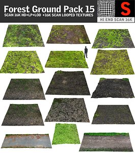 3d model forest ground pack