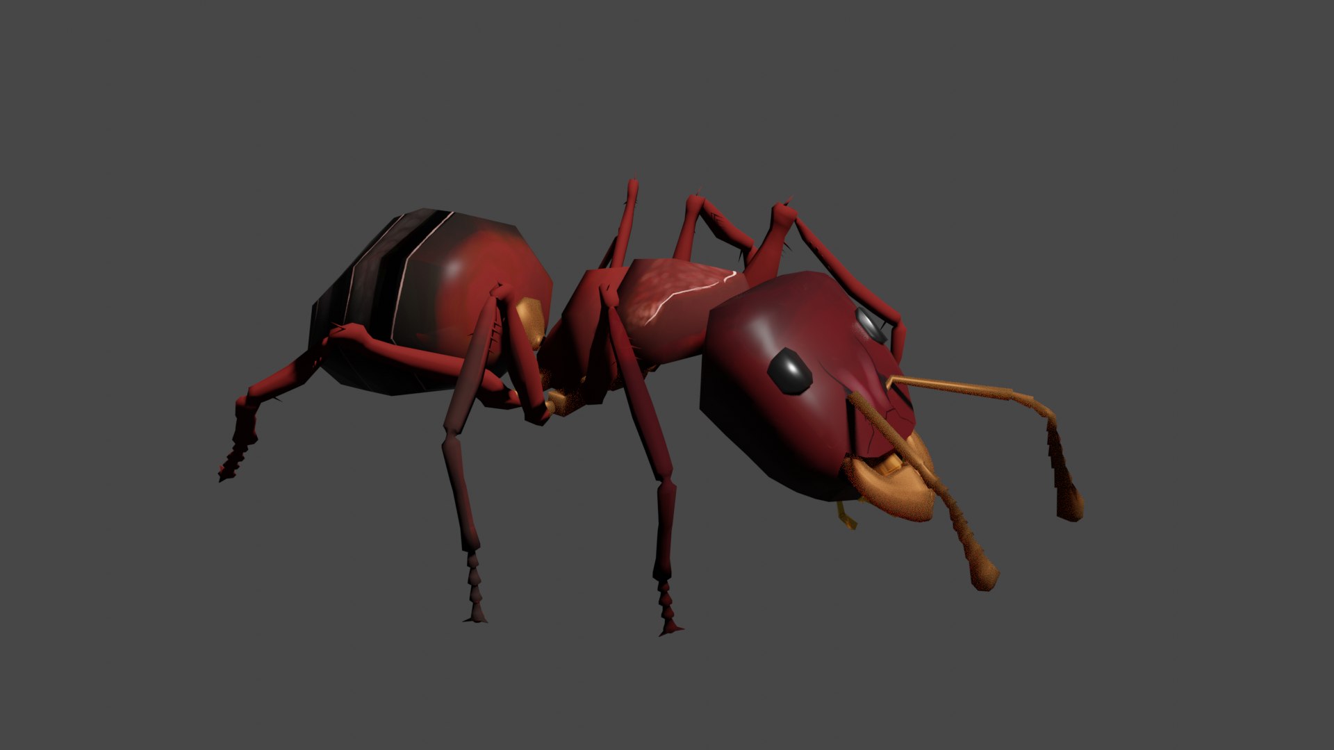 Free 3D Ant - TurboSquid 2225056