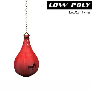 punching bag max