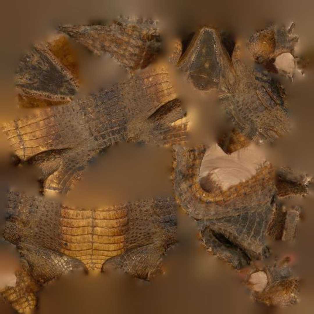 Animal Digital Photogrammetry 3D Model - TurboSquid 1163017