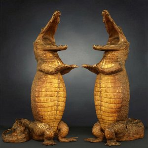 Crocodile Model