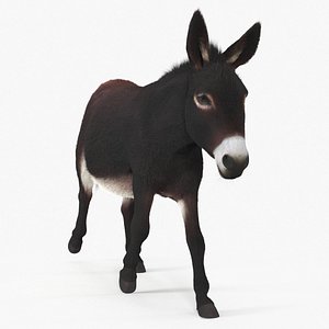 Village Load Donkey Dark Brown Fur for Maya Rigged