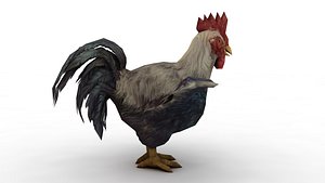 3D Chicken model
