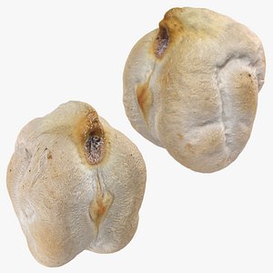 Dry Garbanzo Bean Collection